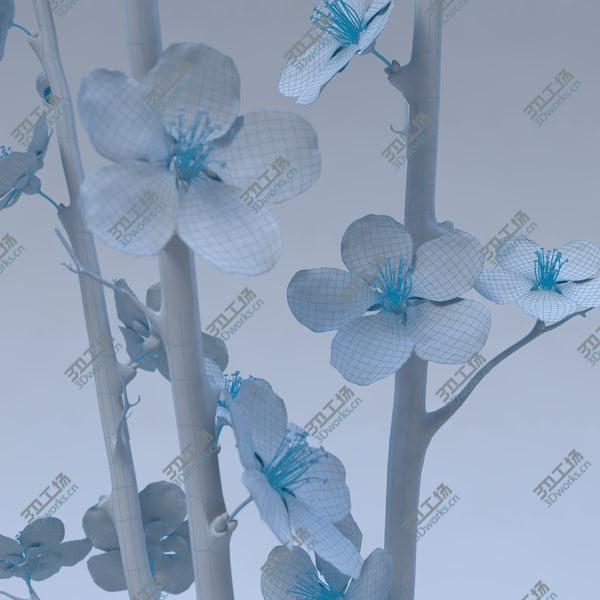 images/goods_img/20210312/Cherry Blossom/5.jpg